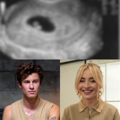 Sabrina Carpenter Is Pregnant With Shawn Mendes