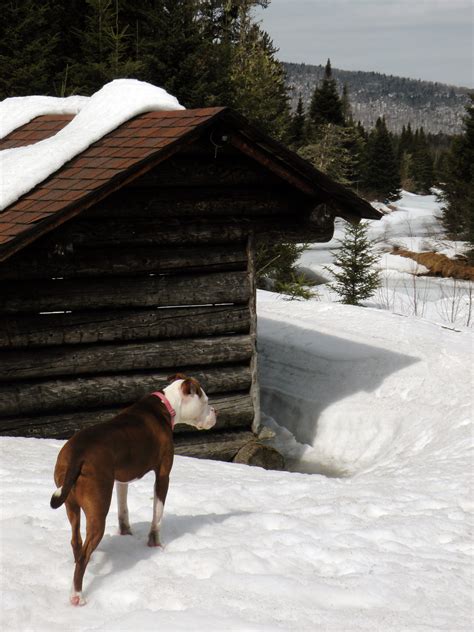 West Canada Lake Wilderness – Adirondack Wilderness Advocates