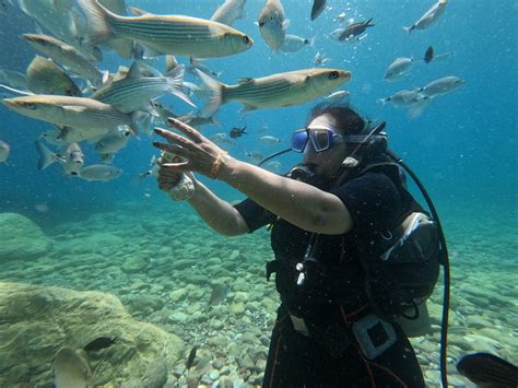 DIVERS DELIGHT - All You Need to Know BEFORE You Go 2026 (with Photos ...
