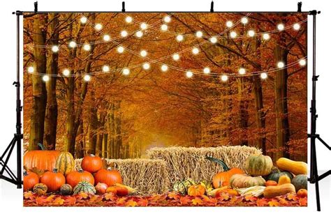 Buy AIBIIN 7x5ft Fall Photo Backdrop Autumn Forest Maple Harvest Hay ...