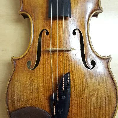 Image result for Viola Tutorial