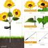 solar outdoor decor light | Garden decoration lights for home – HOMEHOP®