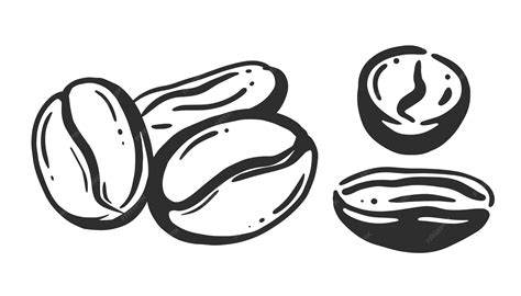 Coffee Bean Clip Art Black White