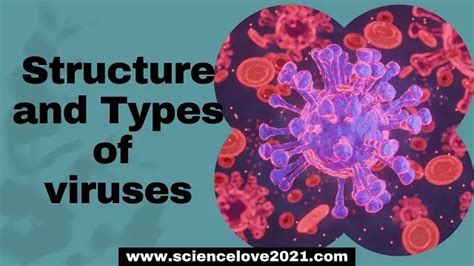 Viruses 的图像结果