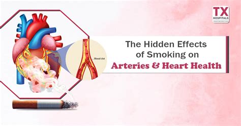 The Hidden Effects of Smoking on Arteries and Heart Health