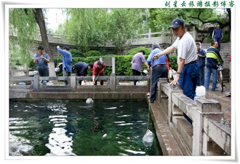 西营门桥-天津城市景观-图片
