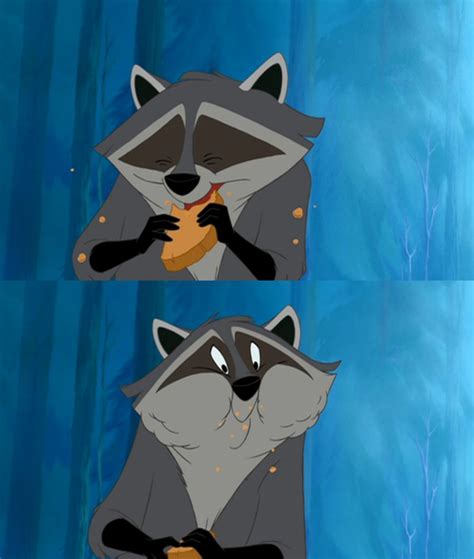 Raccoon Name On Pocahontas