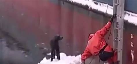These Ordinary Men Rescuing Animals Will Restore Your Faith In Humanity