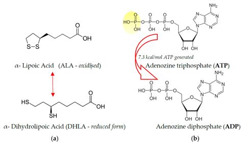Evaluation of Dissolution Profiles of a Newly Developed Solid Oral Immediate-Release Formula ...