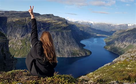 Image result for Polytech