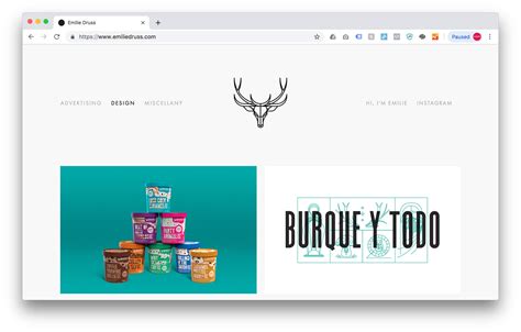 Image result for Graphic Design Portfolio Examples