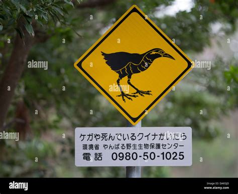 Road signs to protect the Okinawa Rail ( Gallirallus okinawae ) an endangered bird endemic to ...