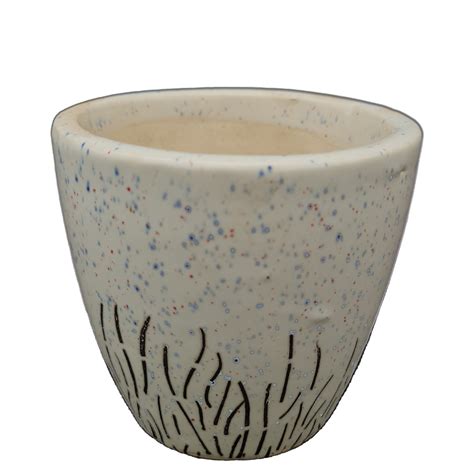 Pot Ashwani Grass Dsgn | Jagtapnursery.shop