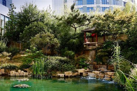 DOUBLETREE BY HILTON SHANGHAI-PUDONG - Hotel Reviews, Photos, Rate ...