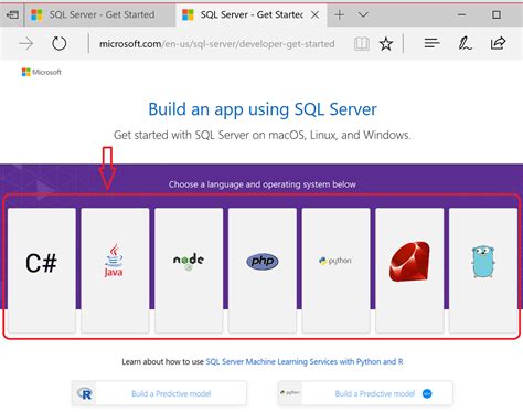 Image result for SQL App