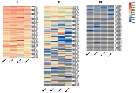 Molecular Characterization and Expression of CmobHLH Genes in Pumpkin