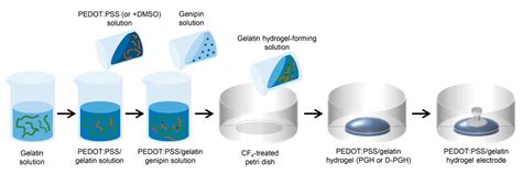 Self-Adherent Biodegradable Gelatin-Based Hydrogel Electrodes for ...