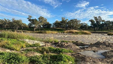 BREWARRINA ABORIGINAL CULTURAL MUSEUM - All You SHOULD Know Before ...