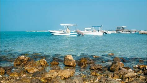 Top 8 Beaches in Bahrain that Offer Every Adventure and Fun