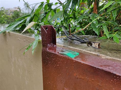 Slider Automated Gate 的图像结果