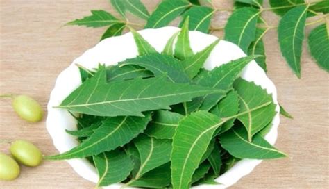8 Effective Home Remedies To Treat Dandruff Naturally - lifeberrys.com