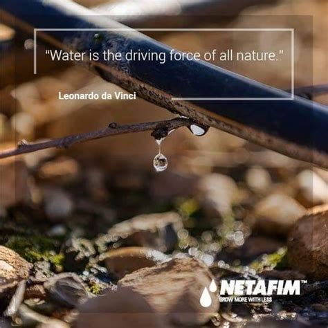 Image result for Netafim Problems