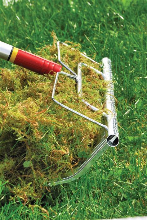 Wolf Garden Tools Lawn Care   Wolf Garden Tools Longspan  