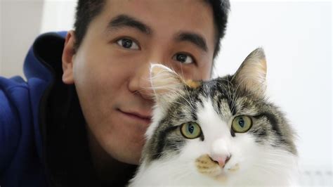 日本明星猫"猫叔"平安 网友自发为救灾让道-新闻中心-南海网
