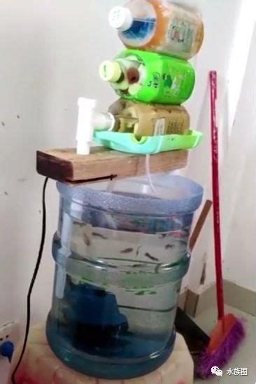 废弃的塑料瓶不要扔了，看看小伙子做到生态鱼缸多漂亮！_哔哩哔哩_bilibili