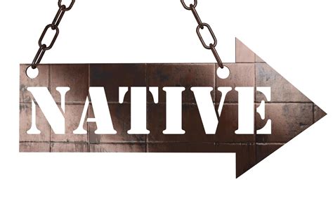 Unveiling the Enigmatic Coyote: A Linguistic Journey Through Native American Languages