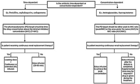 Drug Dosing Considerations in Critically Ill Patients Receiving ...