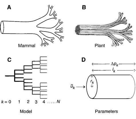 What is Intelligence? | Antikythera