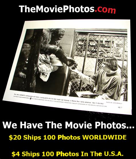 1995 BORN TO BE WILD Movie Press Photo Wil Horneff Katie Gorilla sign ...
