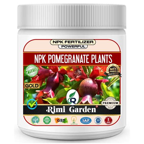 Rimi Garden® NPK for Pomegranate Plant (200 gm), Essential NPK ...