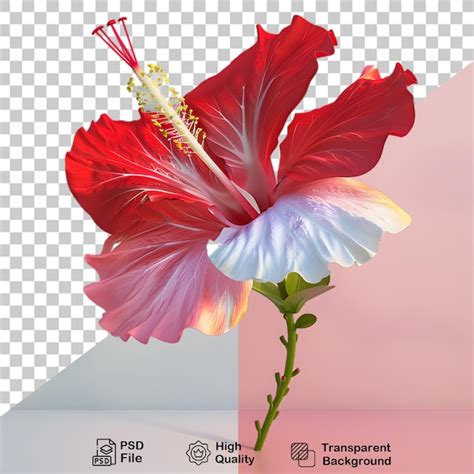 Red lily flower on transparent background | Premium AI-generated PSD