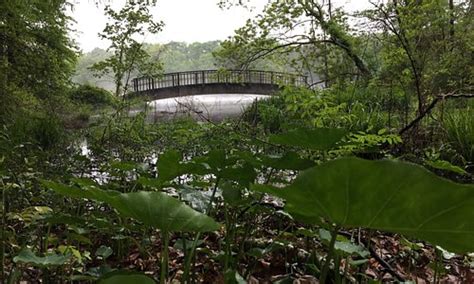 Crystal Springs Tourism (2022): Best of Crystal Springs, MS - Tripadvisor