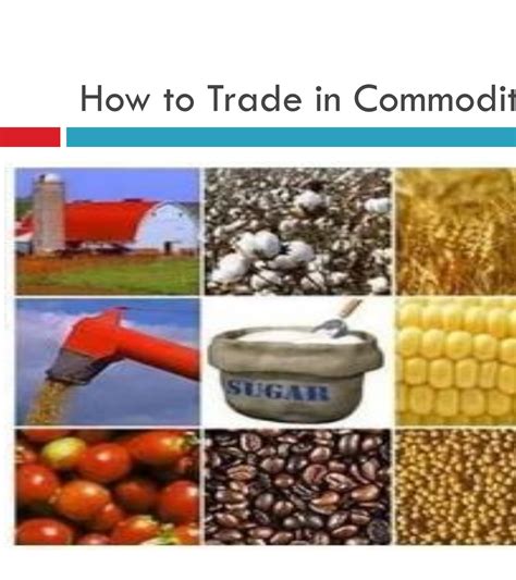 Commodity Examples 的图像结果