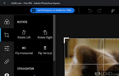 Image result for Photoshop Express Tutorial for Windows 10