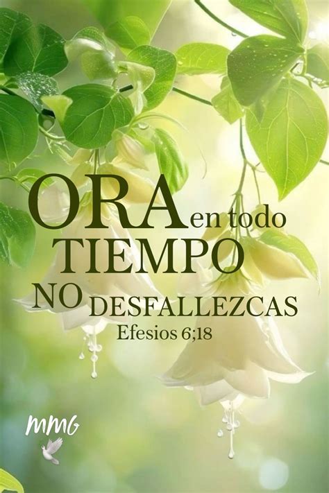 900+ Spanish Bible Verses ideas in 2025 | bible verses, verses, bible