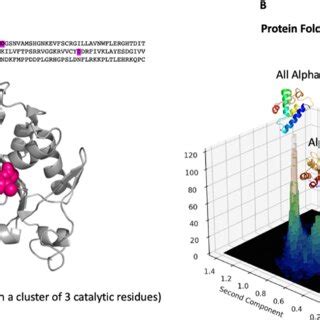 Image result for Complementarity of Structure and Function