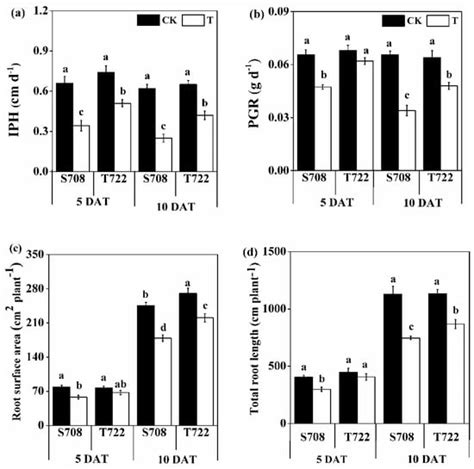 Gene Expression and K+ Uptake of Two Tomato Cultivars in Response to ...