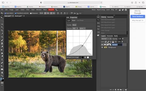 Image result for Photopea Tutorial