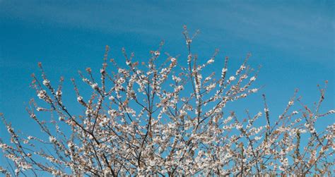 Image result for Circular Polarizer Filter Tutorial