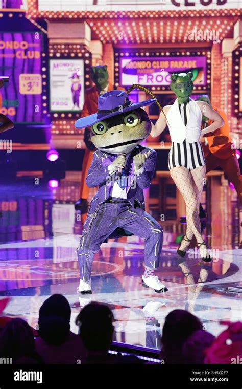 Image result for Masked Singer Frog