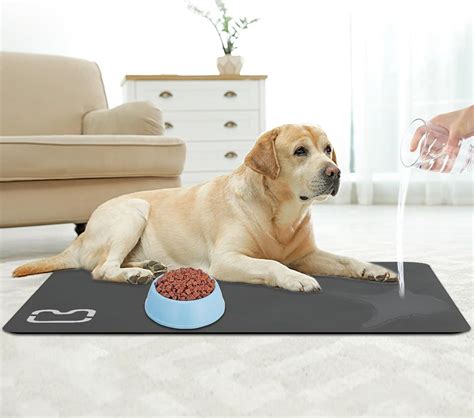 Amazon.com: Absorbent Pet Food Mat - No Stains Dog Water Mat, Dog Mat ...