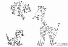 malvorlagen giraffe um giraffe mit tiger nadines ausmalbilder malvorlagen giraffe um giraffe mit tiger nadines ausmalbilder