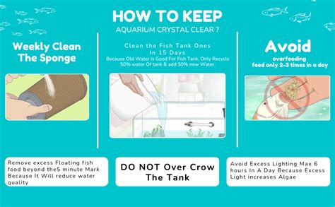 TED TABBIES Sobo WP1000F Aquarium Internal Filter : Amazon.in: Fashion