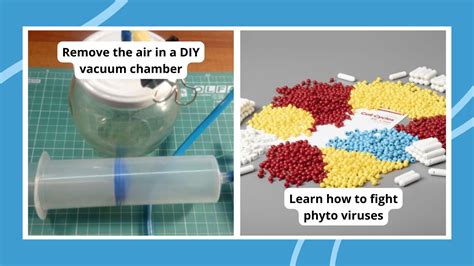 Image result for Function Science Experiments