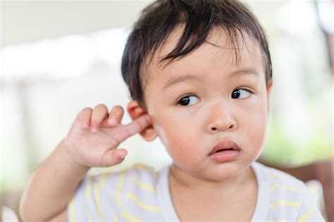 Perforated (Ruptured) Eardrum: Symptoms & Treatment | Miracle-Ear