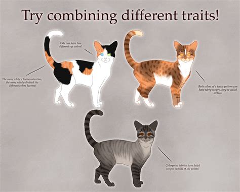 How to make your own Warrior Cats character | Warrior Cats